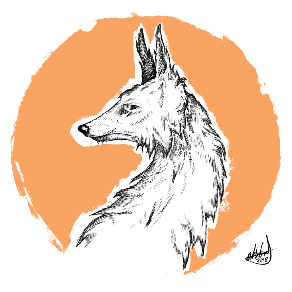 Alex Graf - Illustrator aus Bonn