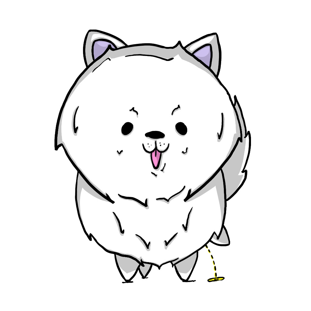 Cute Samoyed Pee 