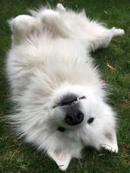 Alex Graf - Illustrator aus Bonn