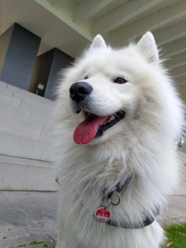 Alex Graf - Illustrator aus Bonn