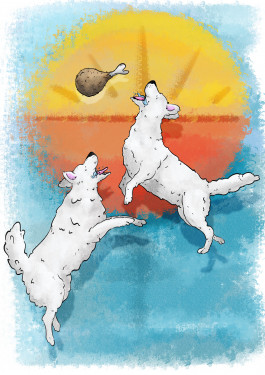 dogs are jumping for food 