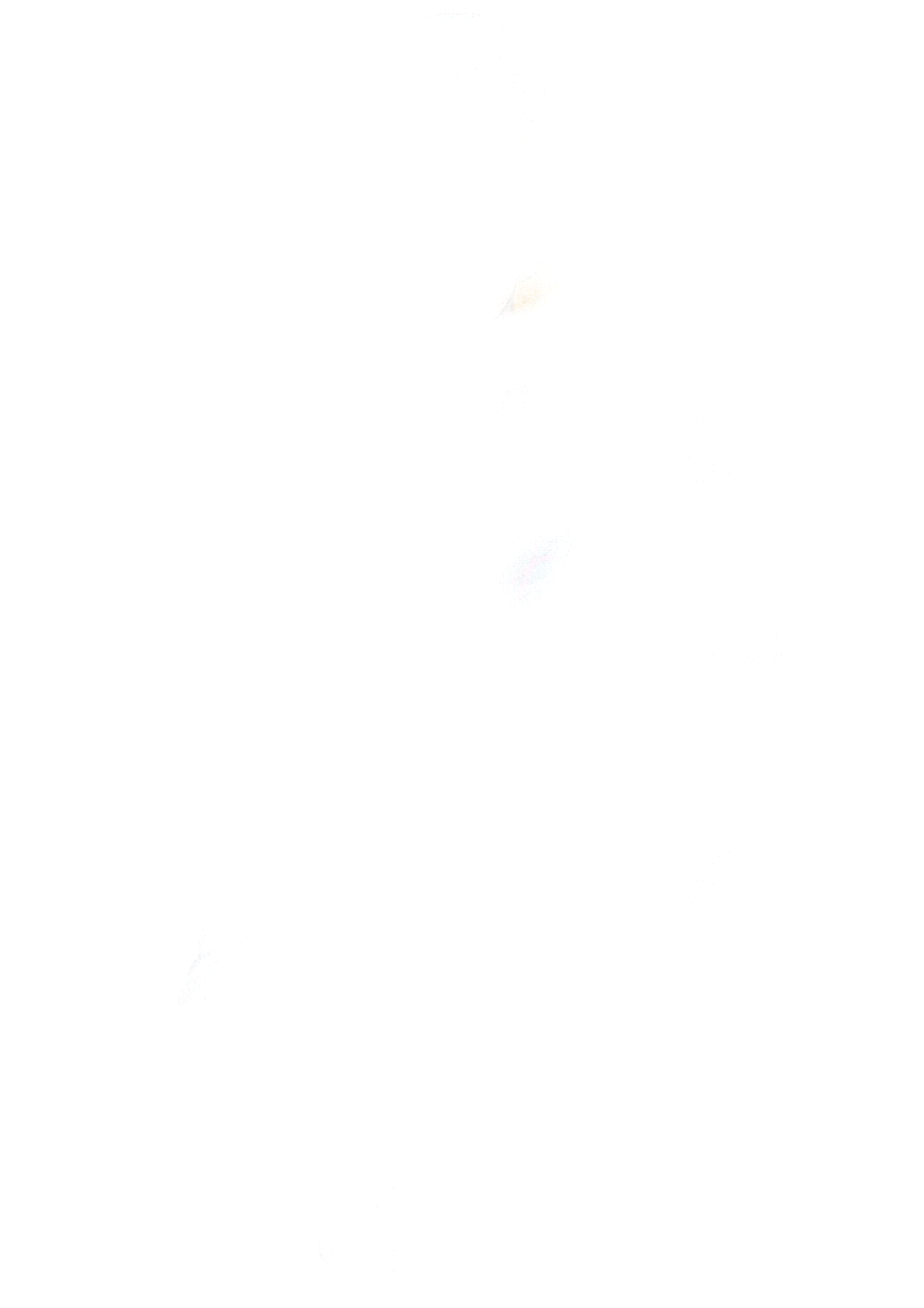 Lisa Krusche portrait animation 